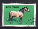 ROUMANIE - 1984 - YT. 3529 o - cheval race Hutul