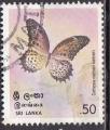 SRI-LANKA N 501 de 1978 oblitr