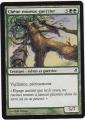 Carte Magic The Gathering / Chne Noueux Guerrier / Lorwyn.