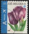Belgique : n 3534 oblitr anne 2006