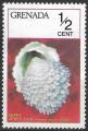 GRENADE - 1975 - Yt n 611 - N* - Coquillage : chama macerophylla
