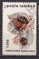 ROUMANIE  - 1996 - Insecte - Yvert 4331 Oblitr