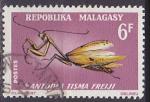 Timbre oblitr n 427(Yvert) Madagascar 1966 - Insecte, mante