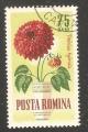 Romania - Scott 1627  flower / fleur