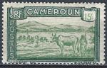 Cameroun - 1925 - Y & T n 111 - MH