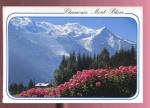CPM CHAMONIX MONT BLANC Panorama sur le Mont Blanc