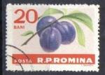 Roumanie 1963 - YT 1930 - FRUITS - Prunes