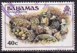 bahamas - n 462  obliter - 1980