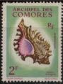 Comores 1962 - Coquillage - YT 21 *