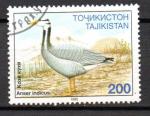 Tajjikistan  Y&T  N  75  oblitr