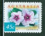 Australie 1999 Yvert 1739 oblitr Fleur du littoral - Ipomoea pes-caprae