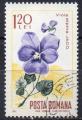 ROUMANIE N 2307 o Y&T 1967 Fleurs (violette)