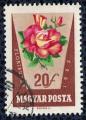 Hongrie 1962 Oblitr Used Fleurs Rosier Rose Floribunda SU