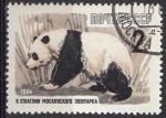 Russie 1964; Y&T n 2822; 2k, faune, ours panda