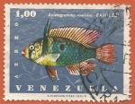 Venezuela 1966.- Peces. Y&T 893. Scott C935. Michel 1681.