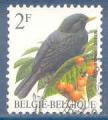 Belgique N2458 Merle noir oblitr