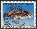 Côte d'Ivoire 1981 - YT 568 ( Poisson ) Ob