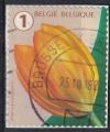 Belgique 2016 Oblitr Used Flower Fleur Tulip Tulipe SU