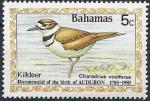 1985 BAHAMAS 571** Audubon, oiseau, issu de srie