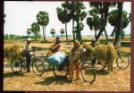 CPM Viet Nam Delta du Mkong une minute de repos