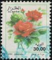 Algrie 2004 Oblitr Used Fleurs Roses Srie Courante Rosa Odorata 30 dinars SU