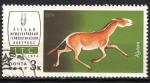 EUSU - Yvert n 4039 - 1974 - Turkmnien Kulan (Equus hemionus kulan)