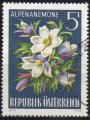 AUTRICHE N 1049  o Y&T 1966 Fleurs des Alpes (Pulsatille)