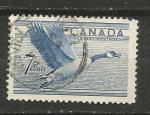 CANADA - oblitr/used - 1952 - n 255