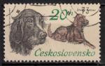 EUCS - Yvert n1999 - 1973 - Setter irlandais (Canis lupus familiaris)