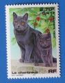 FR 1999 Nr 3283 Srie Nature Chat Le Chartreux Neuf**