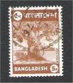 Bangladesh - Scott 44  Fruit