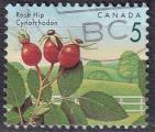CANADA - 1992 - Baies sauvages -  Yvert 1265 oblitr