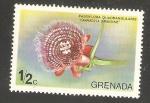 Grenada - Scott 612 mint flower / fleur
