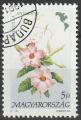 Timbre oblitr n 3307(Yvert) Hongrie 1991 - Fleurs des Amriques, Mandevilla