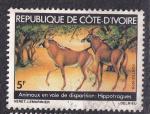 COTE D'IVOIRE - 1979 - Hippotragues  - Yvert 501 Oblitr