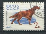 Timbre Russie & URSS 1965  Obl   N 2918   Y&T  Chien