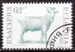 EUBG - 1991 - Yvert n 3359 - Chvre (Capra hircus)