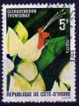 COTE D'IVOIRE N 523 o Y&T 1980 Fleurs (Clerodendron thomsonae)