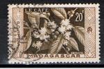Madagascar / 1956 / Caf / YT n 331 oblitr