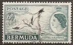  bermudes -- n 149  obliter -- 1953