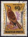 Hongrie 1962 - Oiseau : busard des roseaux, poste arienne, 60 f - YT A 252 