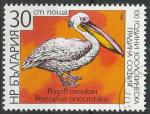 Timbre oblitr n 3171(Yvert) Bulgarie 1988 - Oiseau, plican