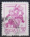 POLOGNE N 2136 o Y&T 1974 Fleurs (Iris)