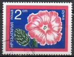 BULGARIE N 2095 o Y&T 1974 Fleurs des jardins (rose trmire) 