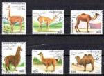 Afghanistan 1997 Animaux Camlids (42) srie compl Yv 1519  1524 oblitr used