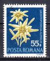 ROUMANIE -1972 - Fleurs - Yvert 2684 Oblitr