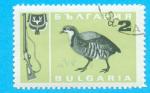 BULGARIE OISEAUX FUSIL 1967 / OBLITERE TRACES DE CHARNIERES