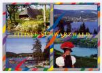 Carte Postale Moderne Allemagne - Titisee-Schwarzwald