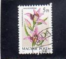 Hongrie oblitr n 3133 Orchides HO16834