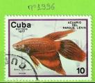 POISSONS - CUBA  N1996 OBLIT